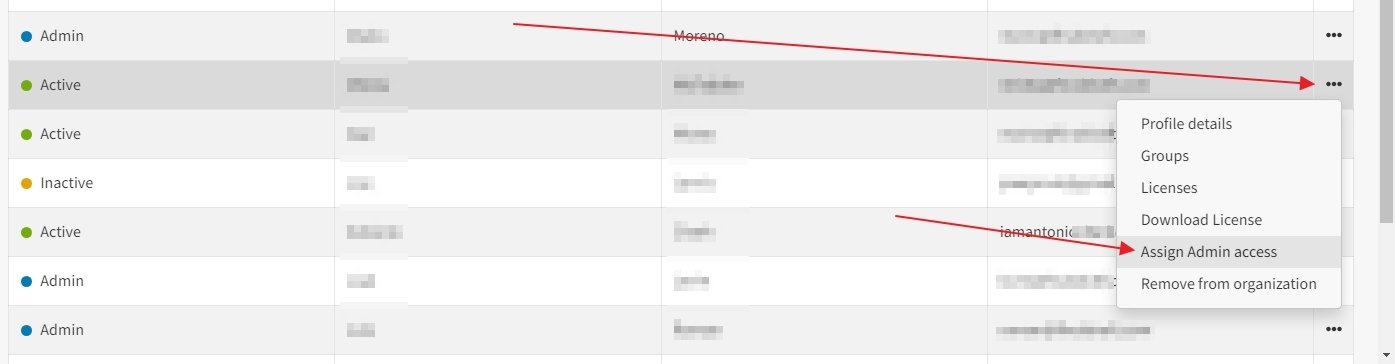 assign admin access 2.jpg